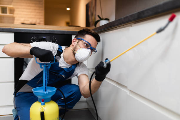 Best Emergency Pest Control  in Urbana, OH