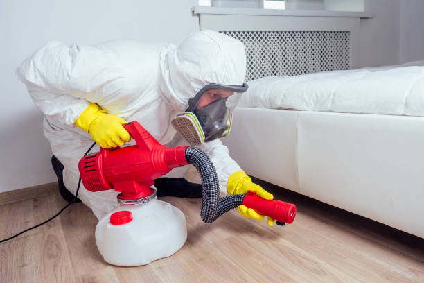 Best Wasp Removal Services  in Urbana, OH