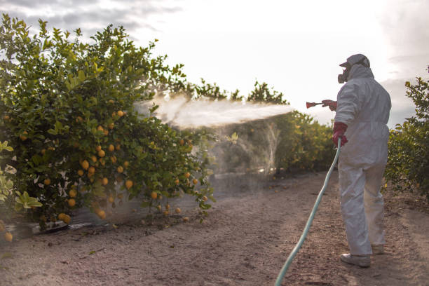 Trusted Urbana, OH Pest Control Experts