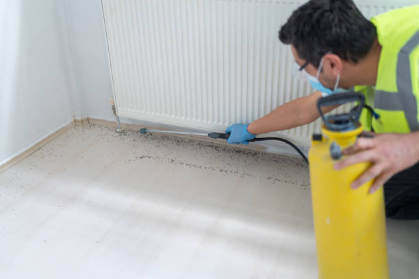 Best Best Pest Control Companies  in Urbana, OH
