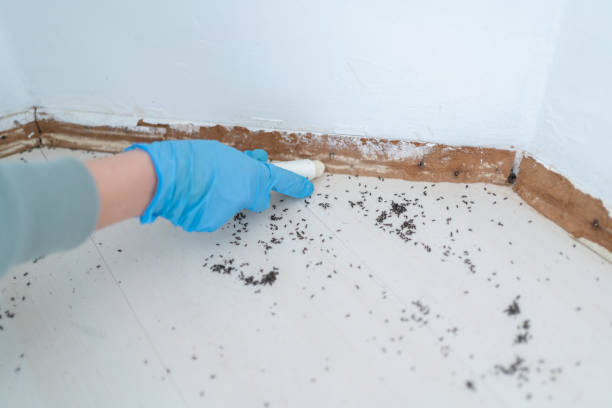 Best Commercial Pest Control Services  in Urbana, OH