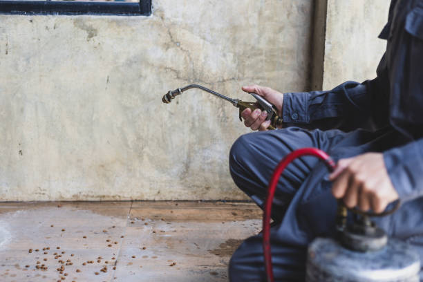 Best Pest Removal Services  in Urbana, OH