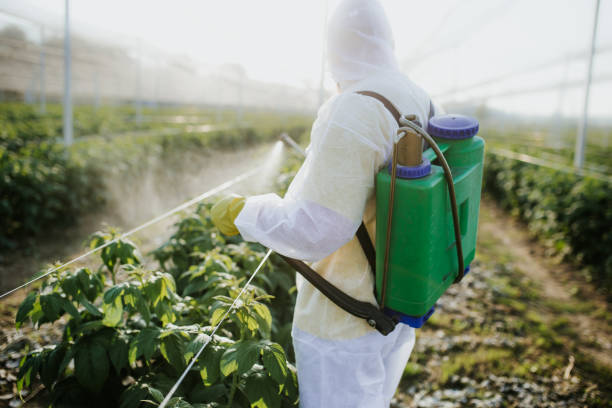 Best Local Pest Control Services  in Urbana, OH